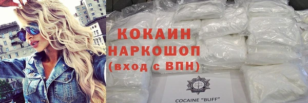 МДПВ Гусев